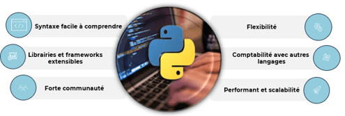 Data Insights - Approches de programmation en Python